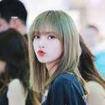 laliza Profile Picture