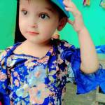 feriha khan Profile Picture