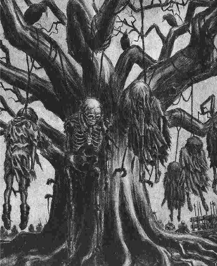 Novel Cover Image