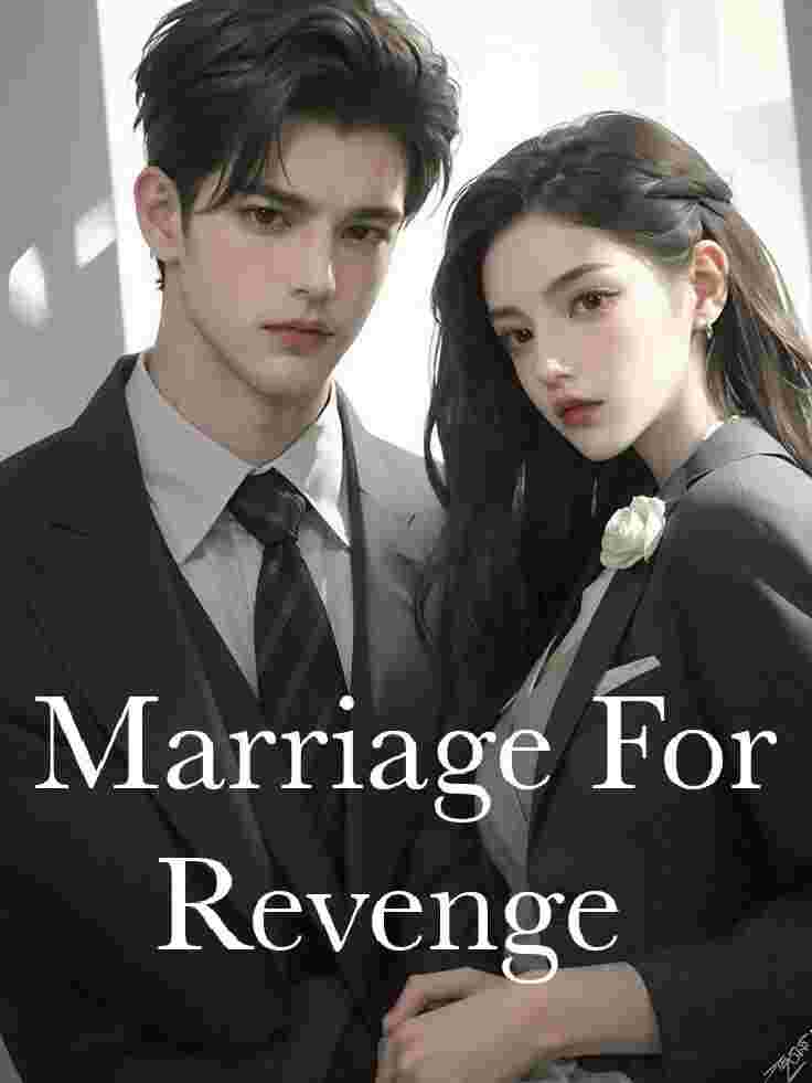Novel Cover Image