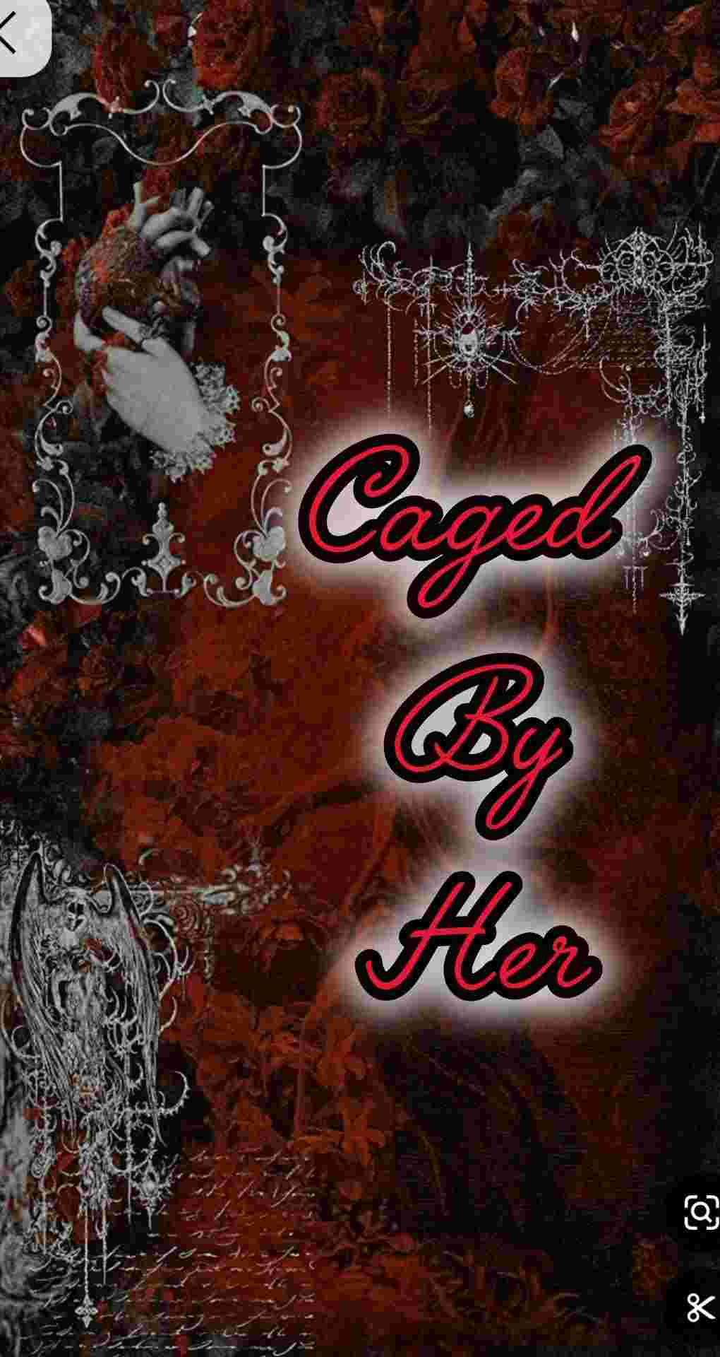 Novel Cover Image