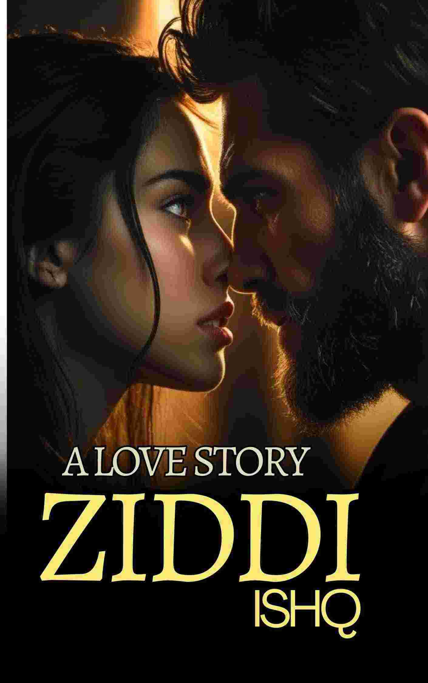 Novel Cover Image
