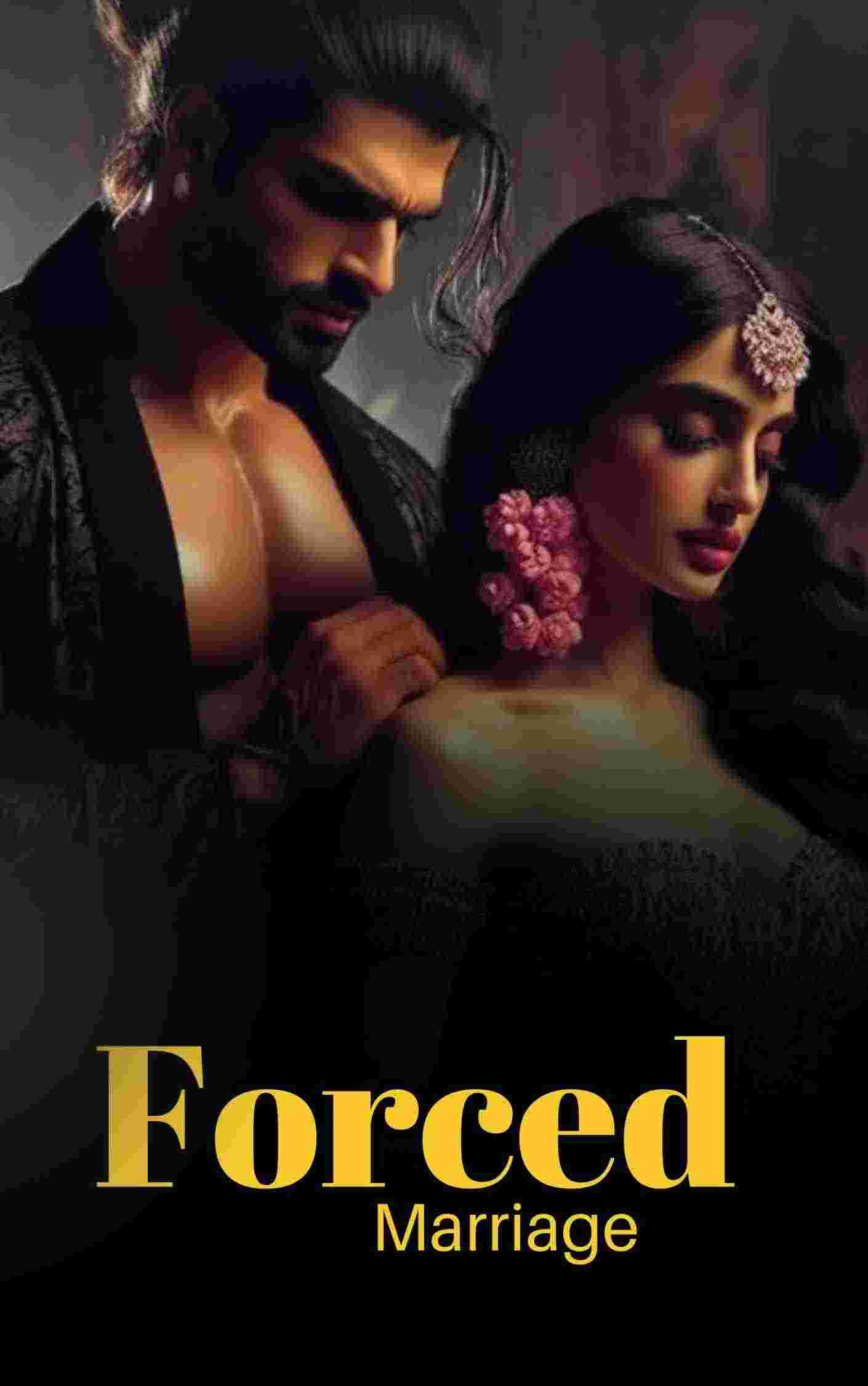 Novel Cover Image