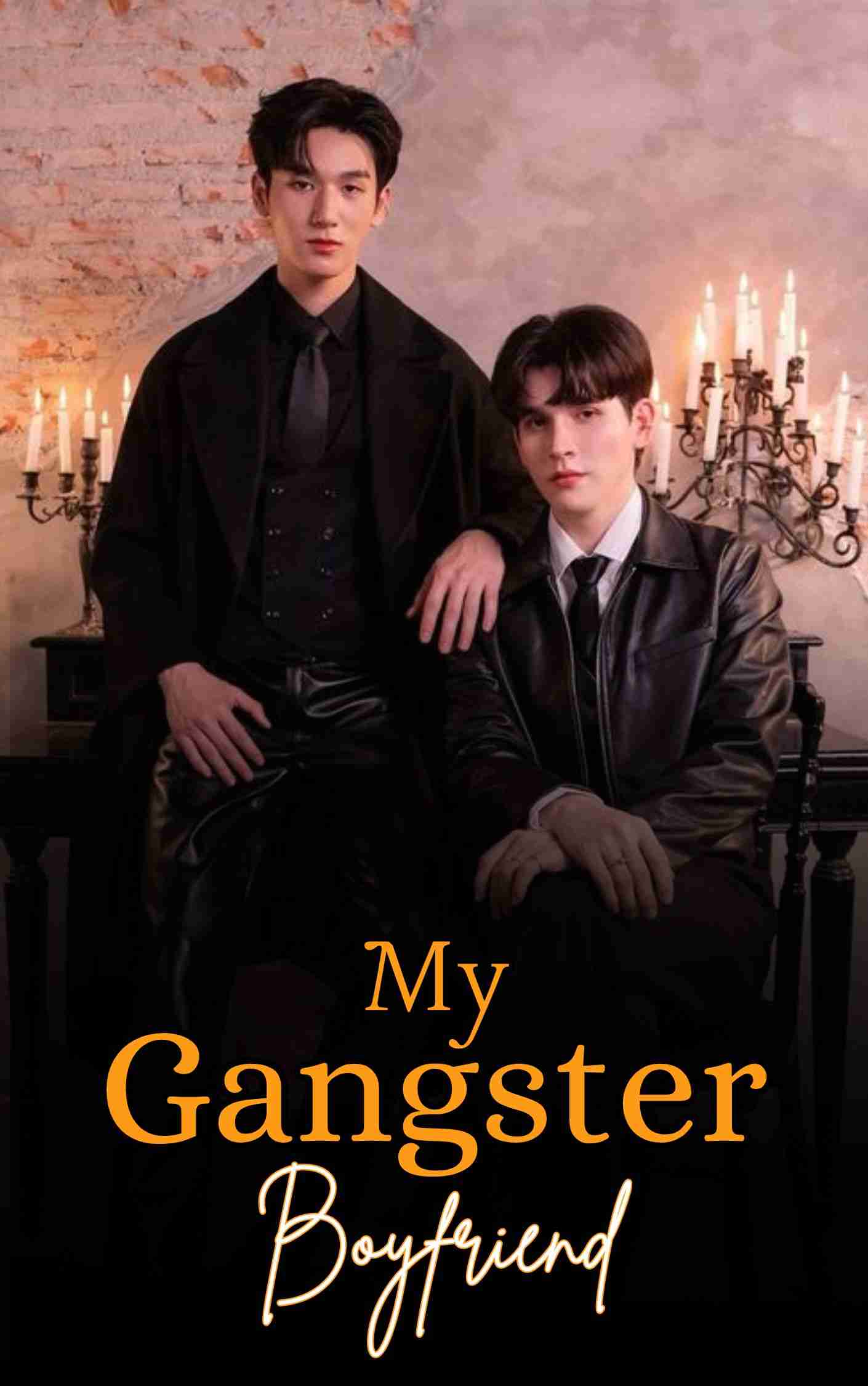 Novel Cover Image