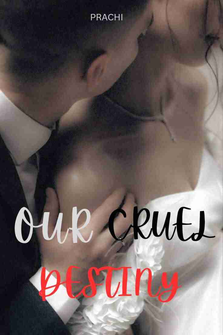 Novel Cover Image