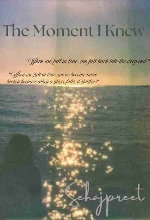 Novel Cover Image