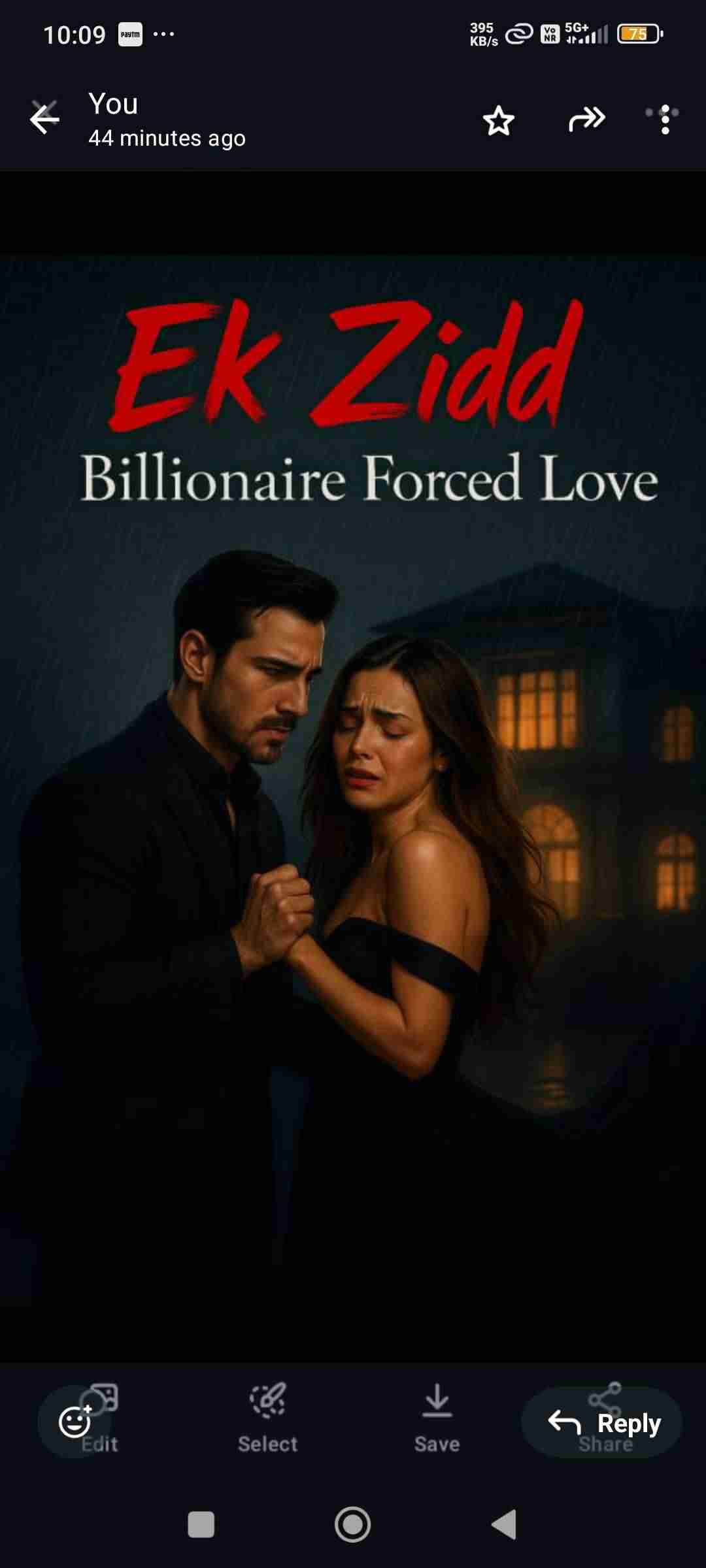 Novel Cover Image