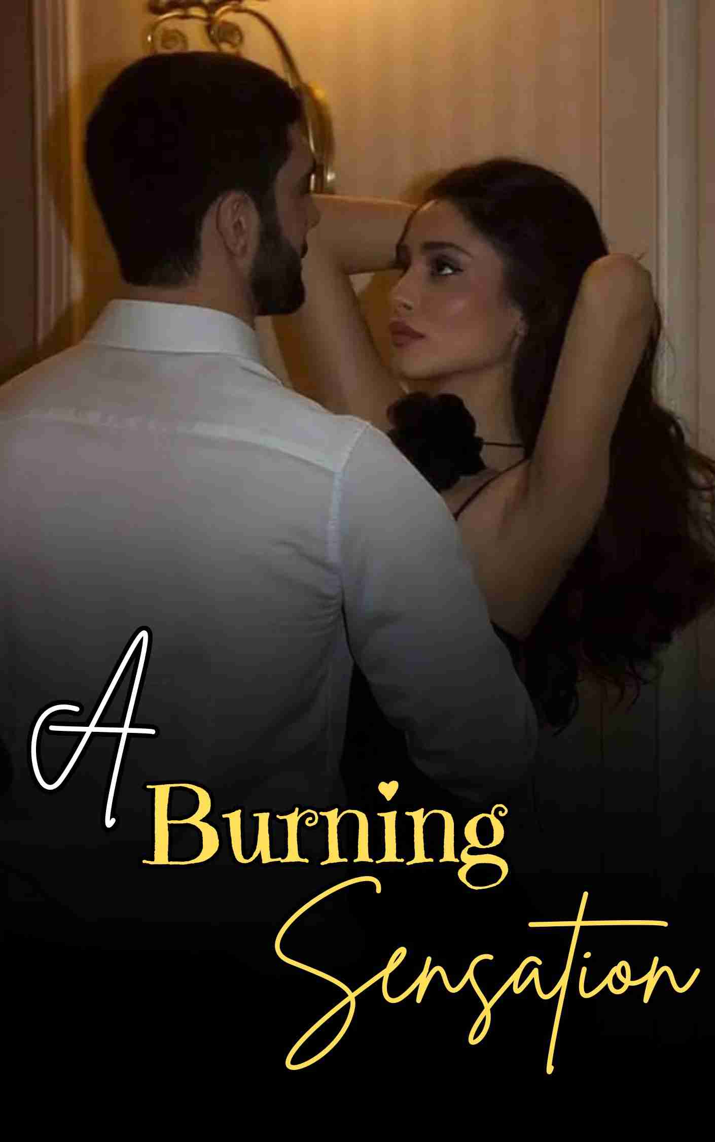 Novel Cover Image