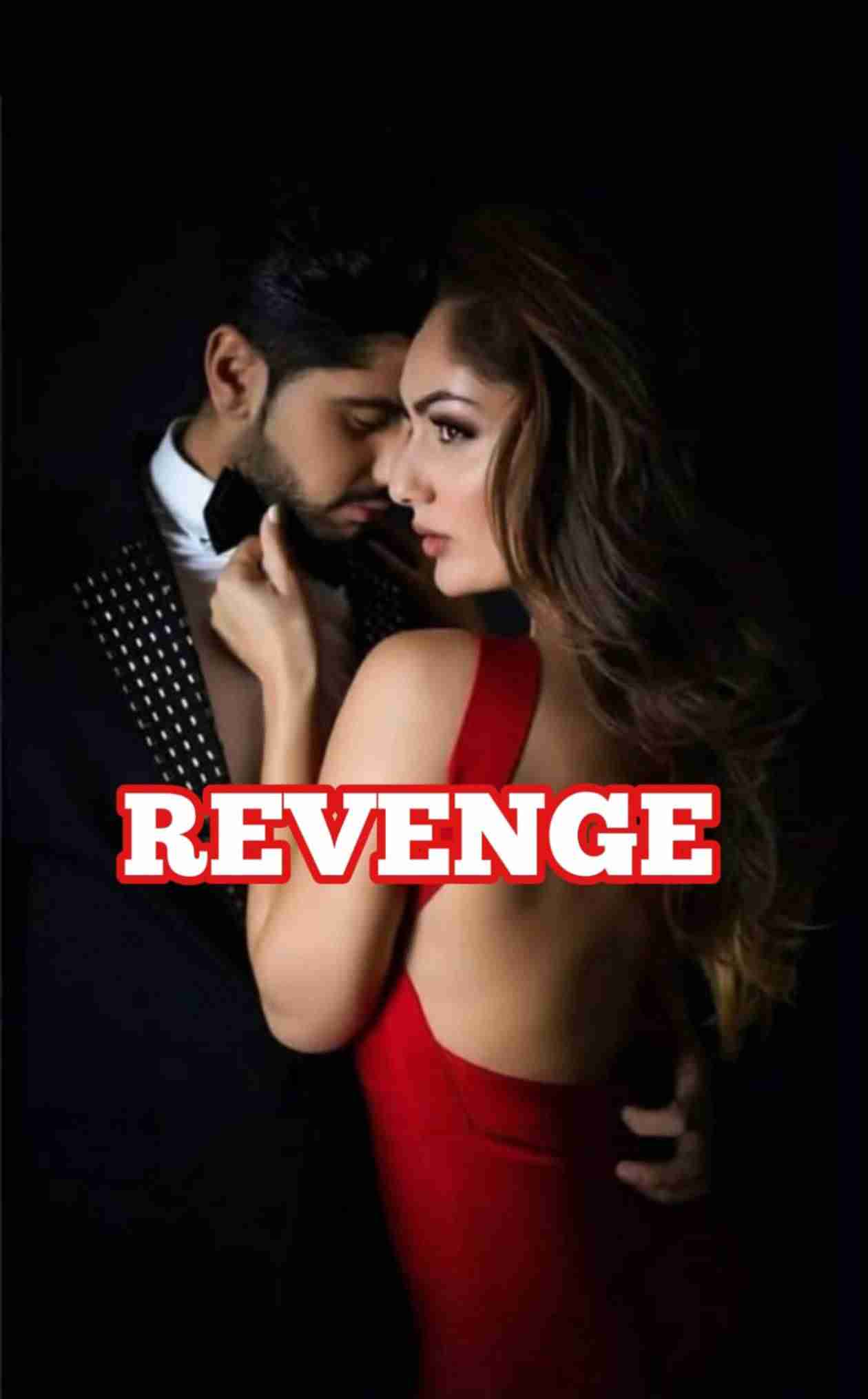 Novel Cover Image