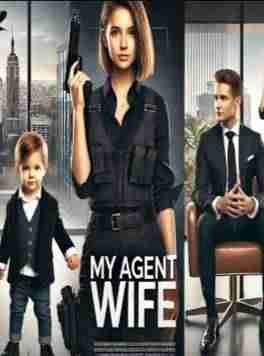 My agent wife