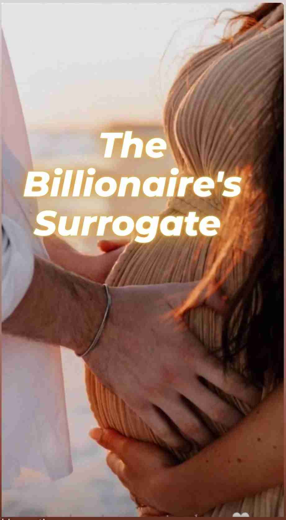 Novel Cover Image